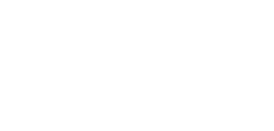 tartaruga-separatore-bianco